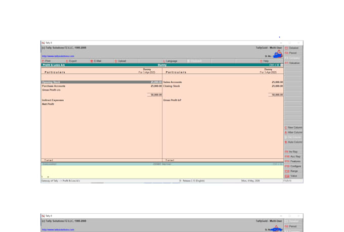 do tally data entry and bookkeeping work accurately